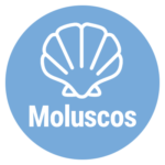 Moluscos